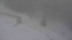 Přístup na běžeckou trať