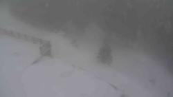 Přístup na běžeckou trať