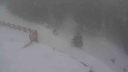 Přístup na běžeckou trať