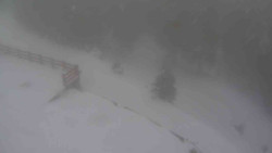 Přístup na běžeckou trať