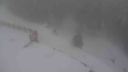 Přístup na běžeckou trať