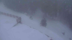 Přístup na běžeckou trať