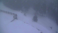 Přístup na běžeckou trať