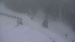 Přístup na běžeckou trať