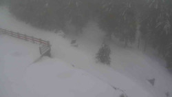 Přístup na běžeckou trať