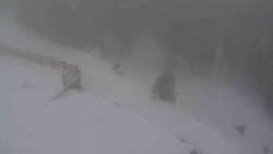 Přístup na běžeckou trať