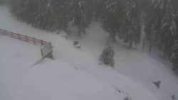 Přístup na běžeckou trať