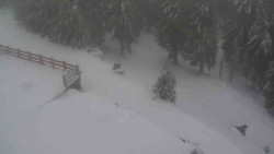 Přístup na běžeckou trať