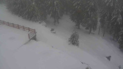 Přístup na běžeckou trať