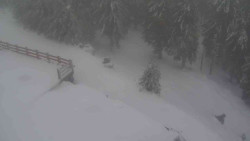 Přístup na běžeckou trať