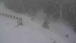 Přístup na běžeckou trať