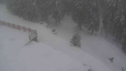 Přístup na běžeckou trať