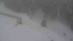 Přístup na běžeckou trať