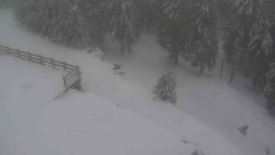 Přístup na běžeckou trať