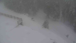 Přístup na běžeckou trať