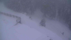 Přístup na běžeckou trať