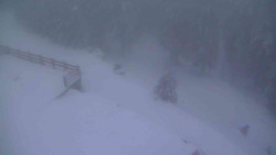 Přístup na běžeckou trať