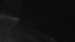 Přístup na běžeckou trať