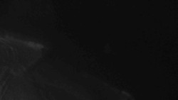 Přístup na běžeckou trať