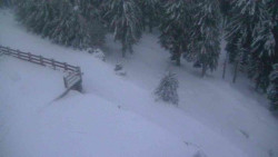 Přístup na běžeckou trať