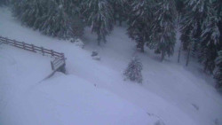 Přístup na běžeckou trať