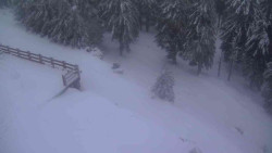 Přístup na běžeckou trať