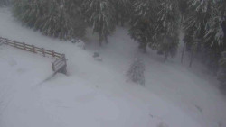 Přístup na běžeckou trať