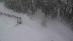 Přístup na běžeckou trať