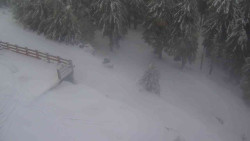 Přístup na běžeckou trať