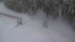 Přístup na běžeckou trať