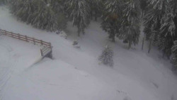 Přístup na běžeckou trať