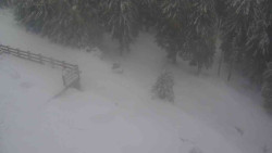 Přístup na běžeckou trať