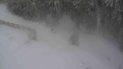 Přístup na běžeckou trať