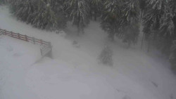 Přístup na běžeckou trať