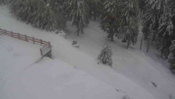 Přístup na běžeckou trať