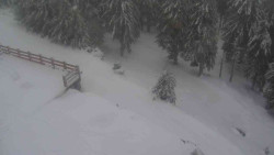 Přístup na běžeckou trať