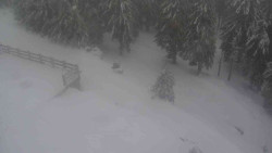 Přístup na běžeckou trať