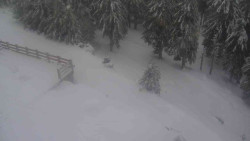 Přístup na běžeckou trať