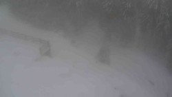 Přístup na běžeckou trať