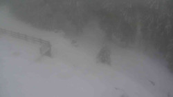 Přístup na běžeckou trať