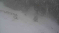 Přístup na běžeckou trať