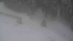 Přístup na běžeckou trať