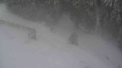 Přístup na běžeckou trať