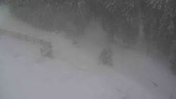 Přístup na běžeckou trať