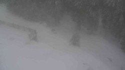 Přístup na běžeckou trať