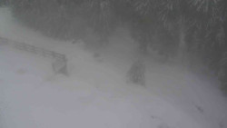 Přístup na běžeckou trať