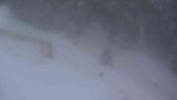 Přístup na běžeckou trať