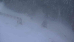 Přístup na běžeckou trať