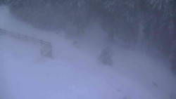 Přístup na běžeckou trať