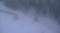 Přístup na běžeckou trať